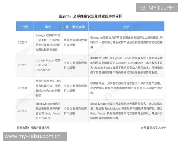 重庆网球队在全国锦标赛中的团队协作表现分析与启示